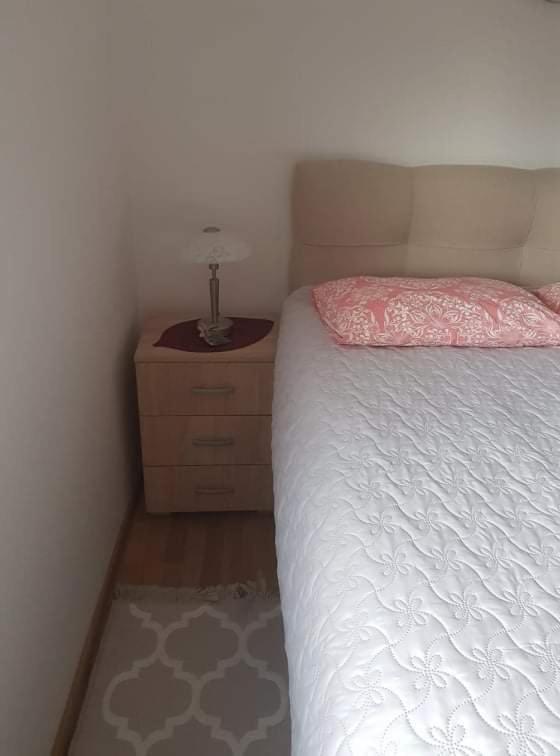 Vila Irina - Apartman Milos Kopaonik Ngoại thất bức ảnh