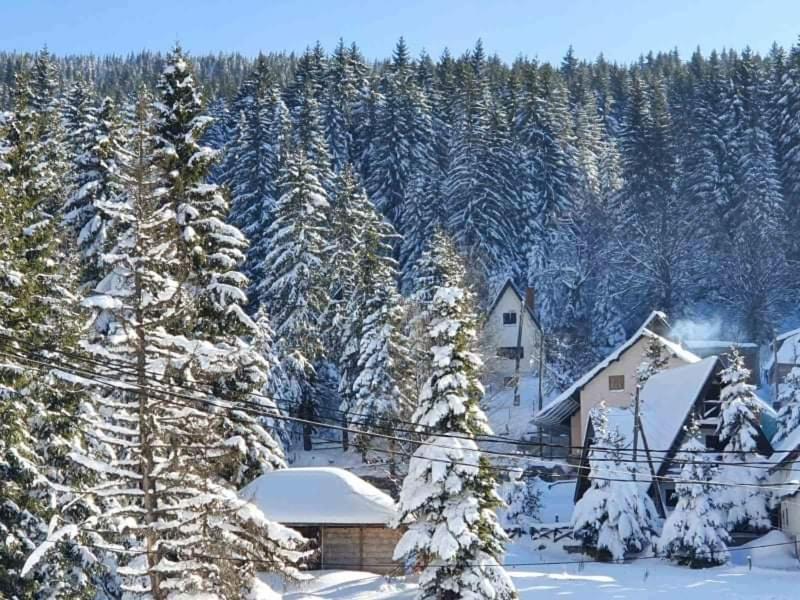 Vila Irina - Apartman Milos Kopaonik Ngoại thất bức ảnh