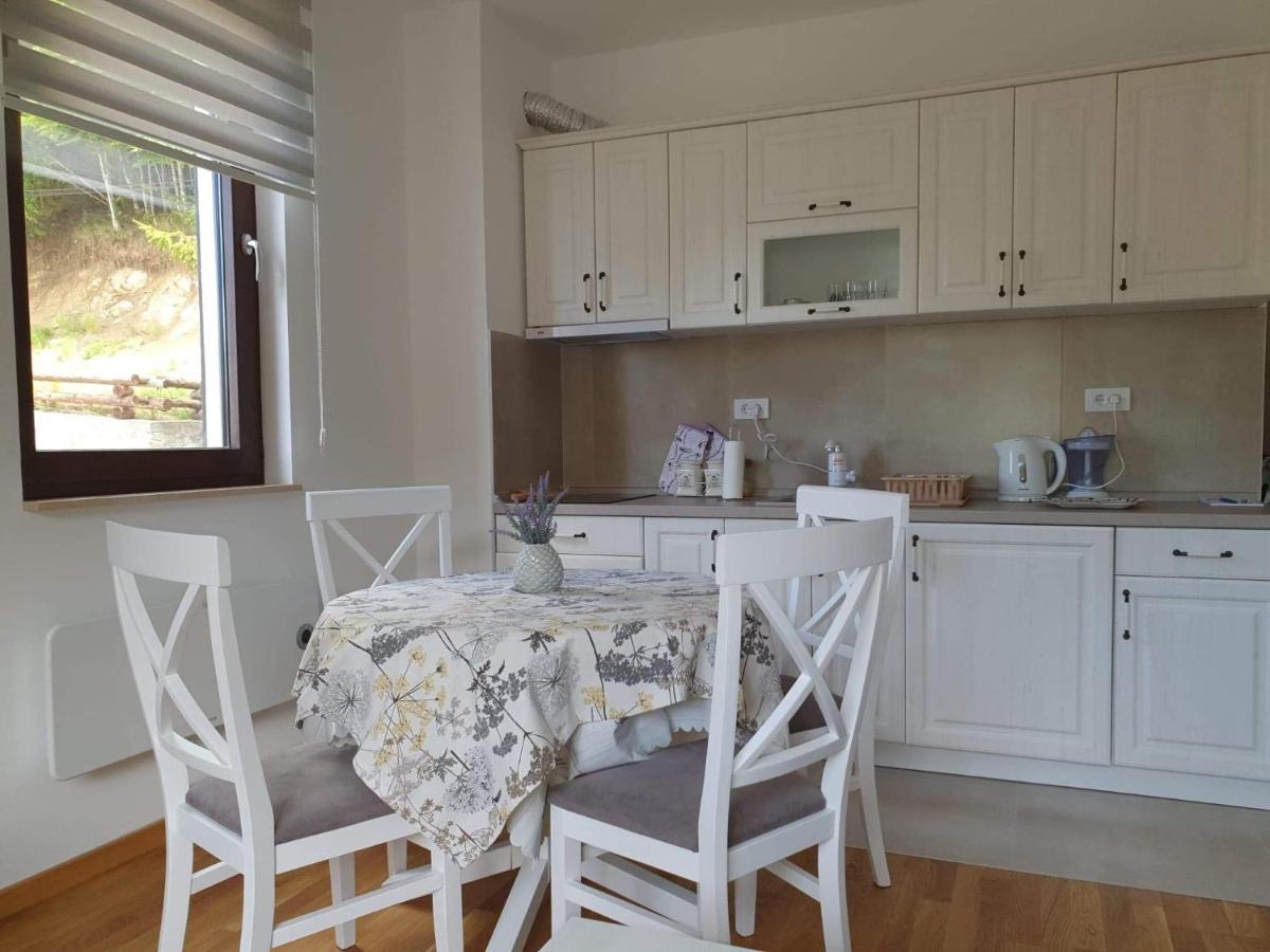 Vila Irina - Apartman Milos Kopaonik Ngoại thất bức ảnh