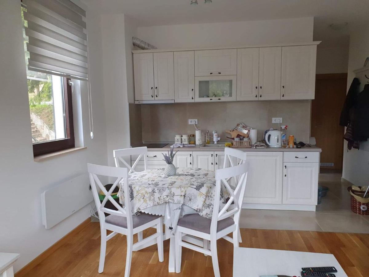 Vila Irina - Apartman Milos Kopaonik Ngoại thất bức ảnh